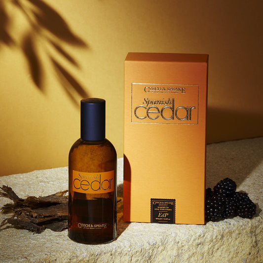 How to Choose Your Winter Fragrance