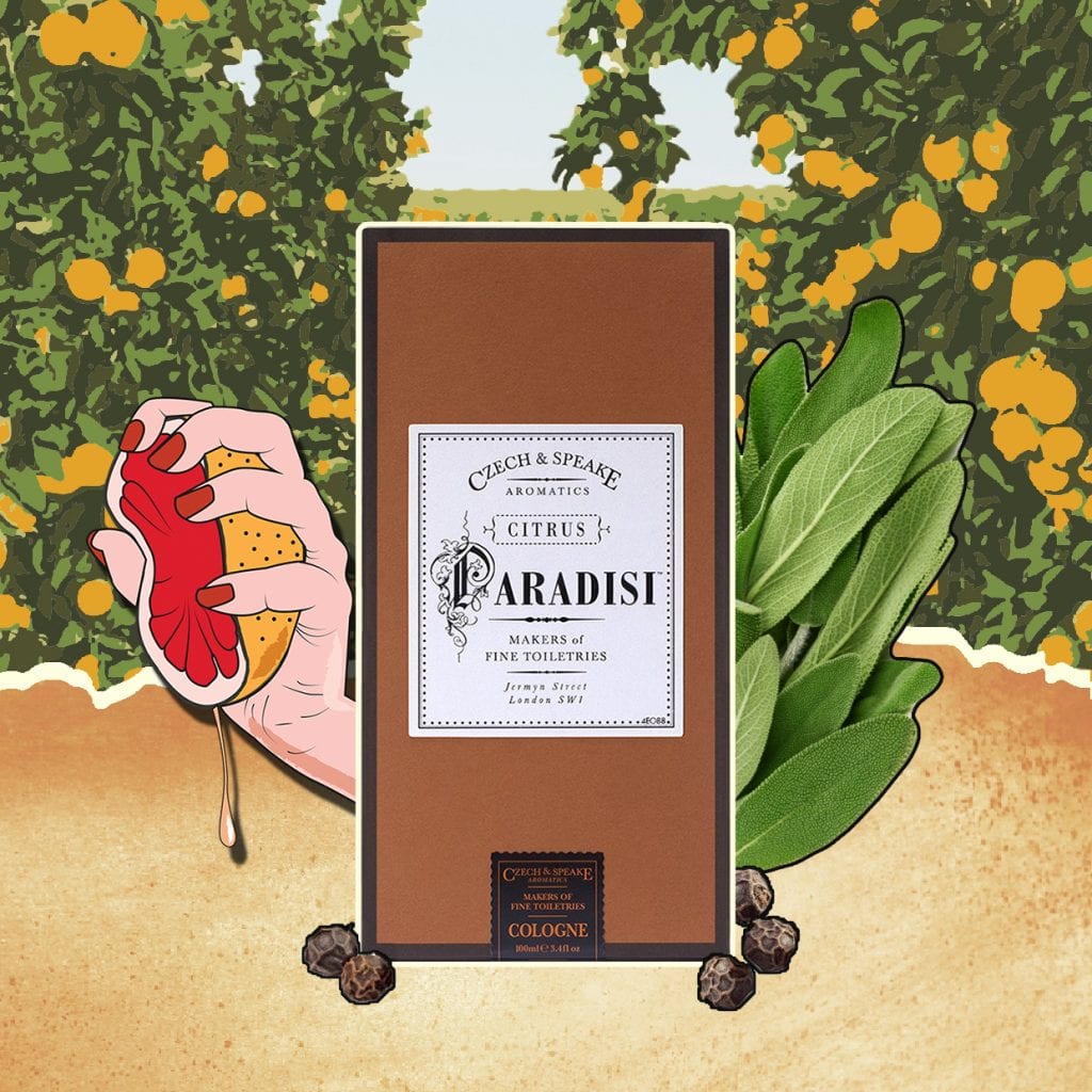 4 Destinations Our Fragrances will Transport You To