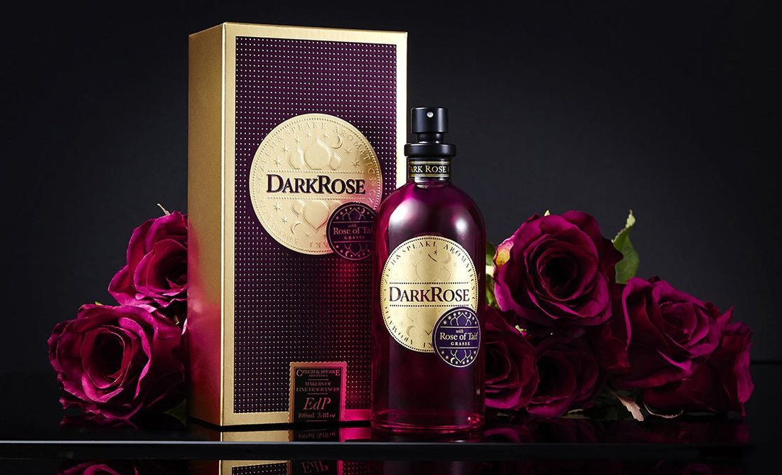 Dark Rose Relaunched