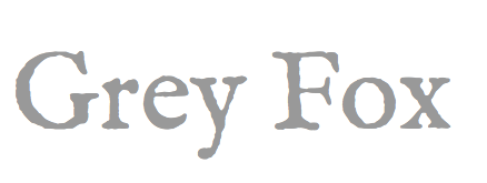 Grey Fox Blog - Air safe manicure set