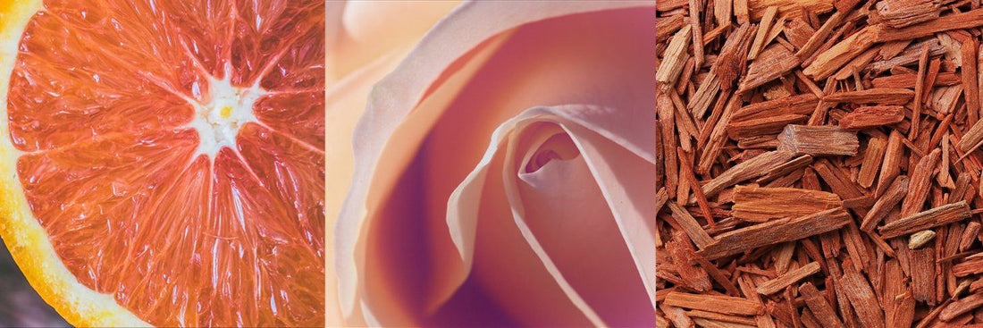 How Fragrance Tells a Story: Understanding the Notes