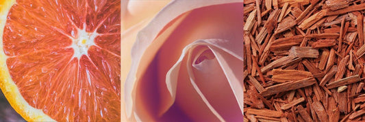 How Fragrance Tells a Story: Understanding the Notes