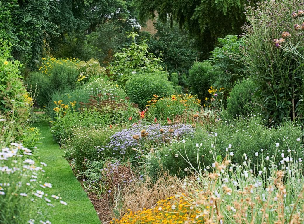 Discover Chelsea Physic Garden