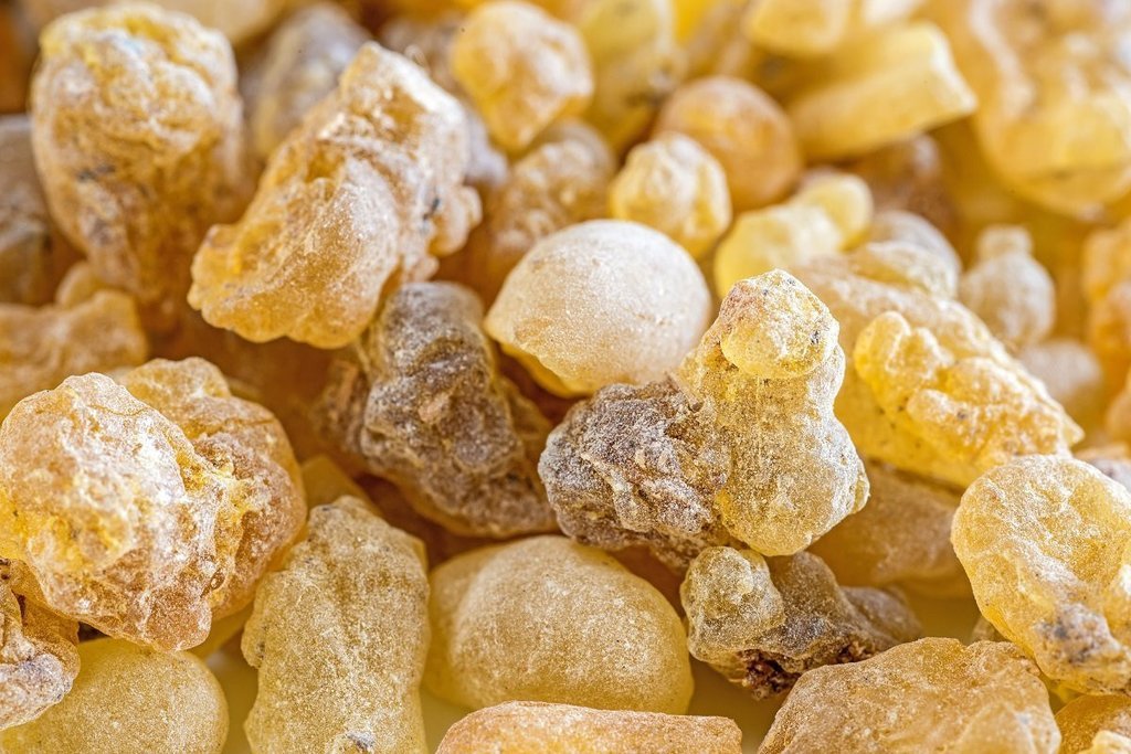 Which Incense Scent is Best for You?