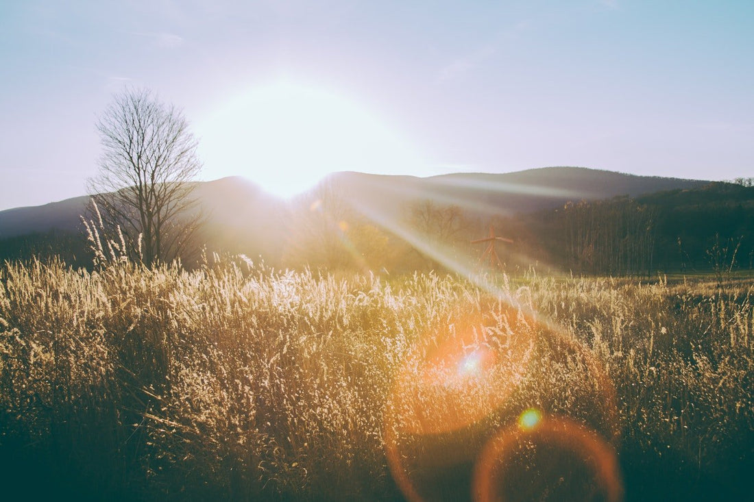 How to Celebrate Summer Solstice