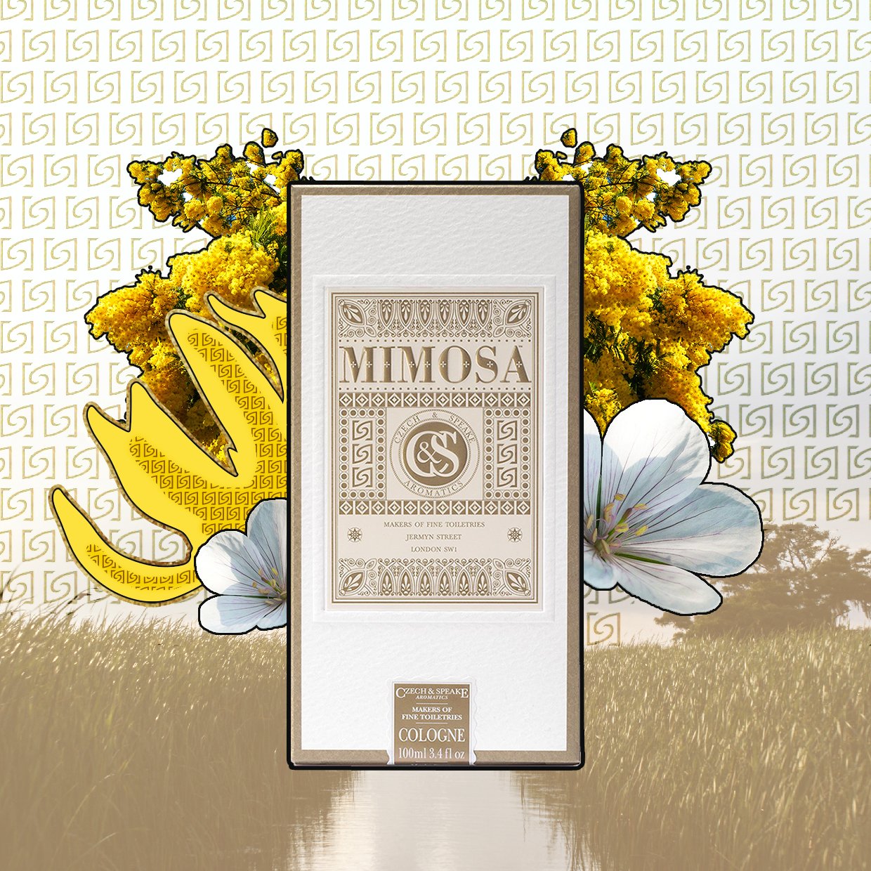 Mimosa Cologne 100ml